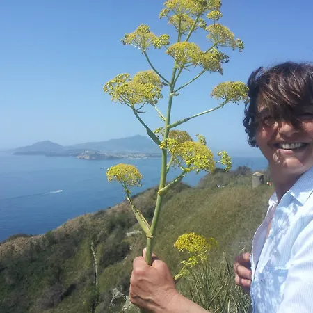 Mary's Dream - Overlooking Capri And Ischia In Sorrento Peninsula Willa *